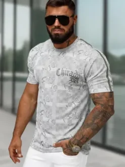 T-shirt męski z nadrukiem szary O/QQ1550^Ozonee Discount